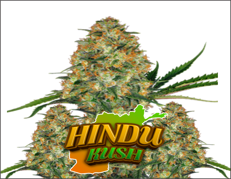 hindu-kush-product1