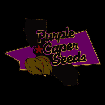 PurpleCaper