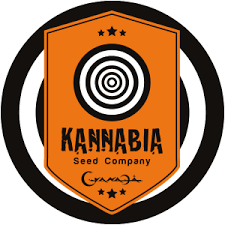 kannabia-seeds